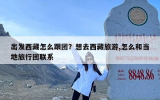 出发西藏怎么跟团？想去西藏旅游,怎么和当地旅行团联系