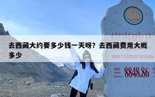 去西藏大约要多少钱一天呀？去西藏费用大概多少