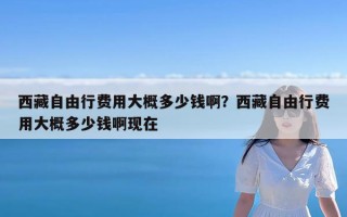 西藏自由行费用大概多少钱啊？西藏自由行费用大概多少钱啊现在