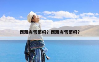西藏有雪菊吗？西藏有雪菊吗?