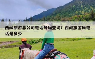 西藏旅游总公司电话号码查询？西藏旅游局电话是多少