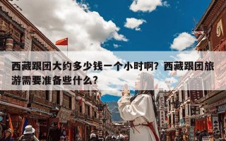 西藏跟团大约多少钱一个小时啊？西藏跟团旅游需要准备些什么?