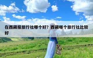在西藏报旅行社哪个好？西藏哪个旅行社比较好