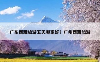 广东西藏旅游五天哪家好？广州西藏旅游