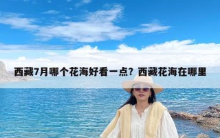 西藏7月哪个花海好看一点？西藏花海在哪里