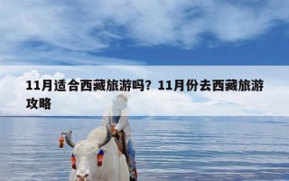 11月适合西藏旅游吗？11月份去西藏旅游攻略