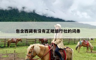 包含西藏有没有正规旅行社的词条