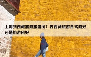上海到西藏旅游旅游团？去西藏旅游自驾游好还是旅游团好