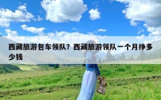 西藏旅游包车领队？西藏旅游领队一个月挣多少钱