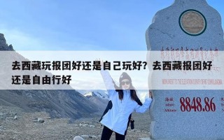 去西藏玩报团好还是自己玩好？去西藏报团好还是自由行好