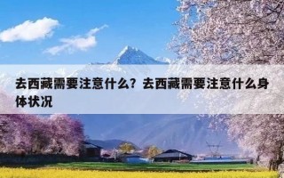 去西藏需要注意什么？去西藏需要注意什么身体状况