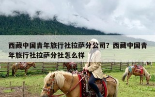 西藏中国青年旅行社拉萨分公司？西藏中国青年旅行社拉萨分社怎么样
