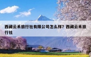 西藏云禾旅行社有限公司怎么样？西藏云禾旅行社
