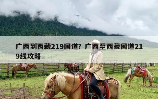 广西到西藏219国道？广西至西藏国道219线攻略