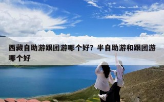 西藏自助游跟团游哪个好？半自助游和跟团游哪个好