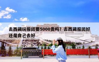 去西藏玩报团要5000贵吗？去西藏报团好还是自己去好