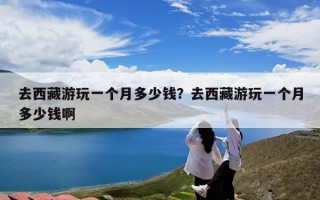去西藏游玩一个月多少钱？去西藏游玩一个月多少钱啊