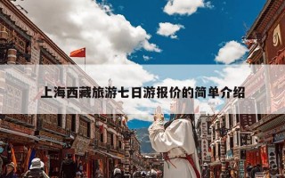上海西藏旅游七日游报价的简单介绍