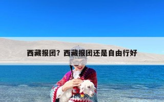 西藏报团？西藏报团还是自由行好