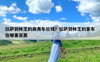 拉萨到林芝的商务车价钱？拉萨到林芝的客车在哪里买票