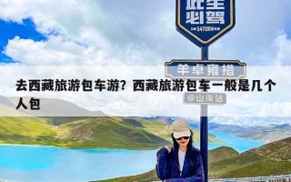去西藏旅游包车游？西藏旅游包车一般是几个人包