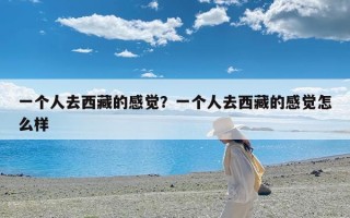 一个人去西藏的感觉？一个人去西藏的感觉怎么样