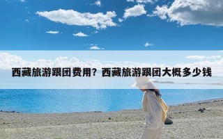 西藏旅游跟团费用？西藏旅游跟团大概多少钱