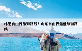 林芝自由行旅游路线？山东自由行最佳旅游路线