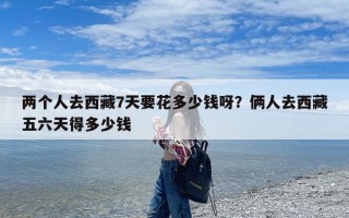 两个人去西藏7天要花多少钱呀？俩人去西藏五六天得多少钱
