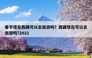 春节现在西藏可以去旅游吗？西藏现在可以去旅游吗?2021