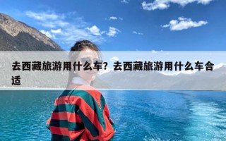 去西藏旅游用什么车？去西藏旅游用什么车合适