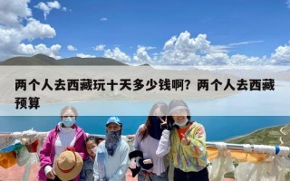 两个人去西藏玩十天多少钱啊？两个人去西藏预算