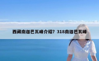西藏南迦巴瓦峰介绍？318南迦巴瓦峰