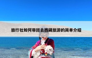 旅行社如何带团去西藏旅游的简单介绍