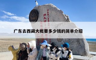 广东去西藏大概要多少钱的简单介绍