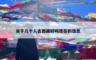 关于几个人去西藏好吗现在的信息