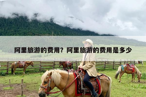 阿里旅游的费用?阿里旅游的费用是多少