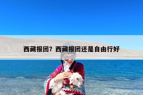 西藏报团?西藏报团还是自由行好