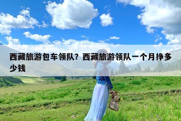 西藏旅游包车领队?西藏旅游领队一个月挣多少钱