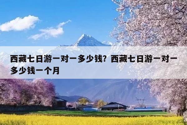 西藏七日游一对一多少钱?西藏七日游一对一多少钱一个月