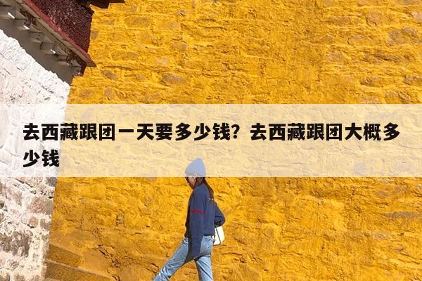 去西藏跟团一天要多少钱?去西藏跟团大概多少钱