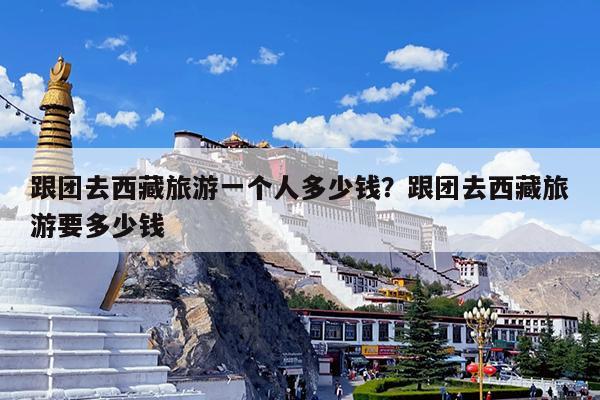 跟团去西藏旅游一个人多少钱?跟团去西藏旅游要多少钱