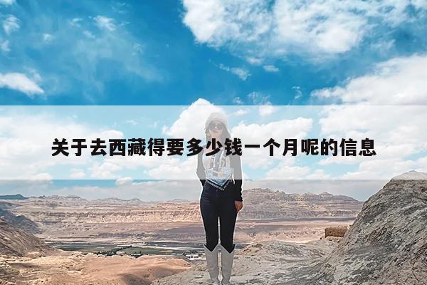 关于去西藏得要多少钱一个月呢的信息