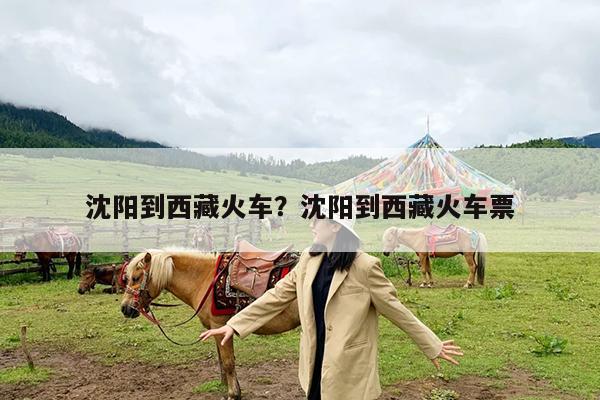 沈阳到西藏火车?沈阳到西藏火车票