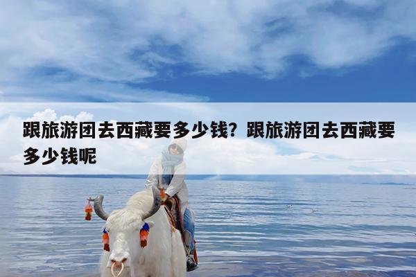 跟旅游团去西藏要多少钱?跟旅游团去西藏要多少钱呢