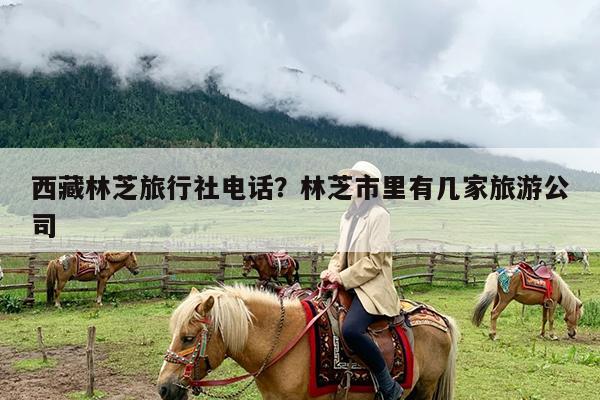 西藏林芝旅行社电话?林芝市里有几家旅游公司