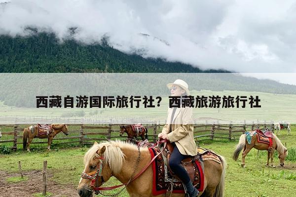 西藏自游国际旅行社?西藏旅游旅行社