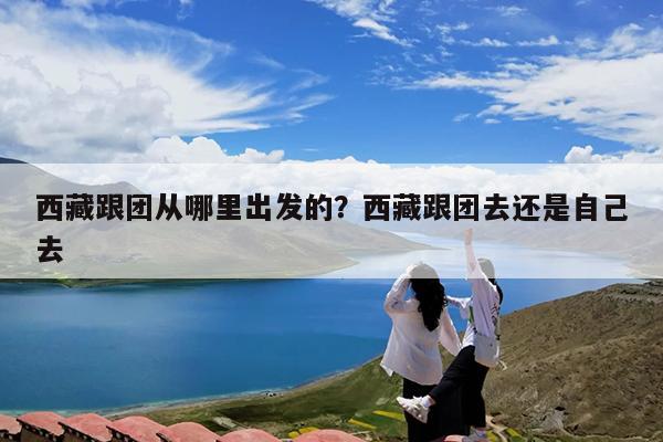 西藏跟团从哪里出发的?西藏跟团去还是自己去