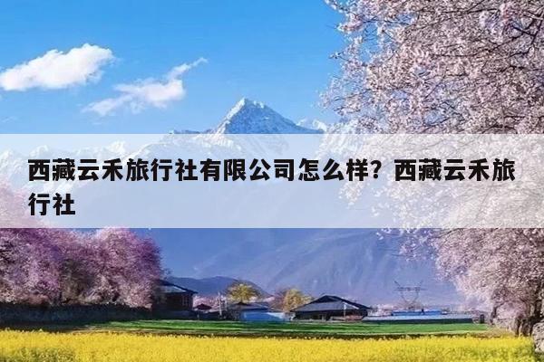 西藏云禾旅行社有限公司怎么样?西藏云禾旅行社