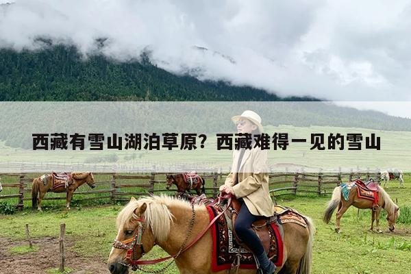 西藏有雪山湖泊草原?西藏难得一见的雪山
